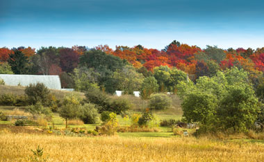 Fall Photo - click to enlarge Fall Photo