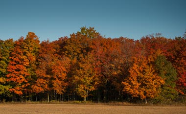 Fall Photo