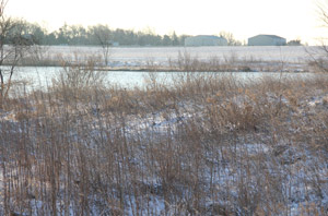 Cold January Day in Illinois