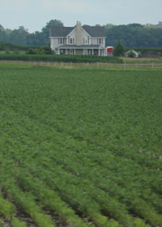 Rural house in Central/Southern Illinois