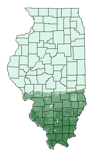 This map shows the overall suitability of this crop in the state of Illinois.