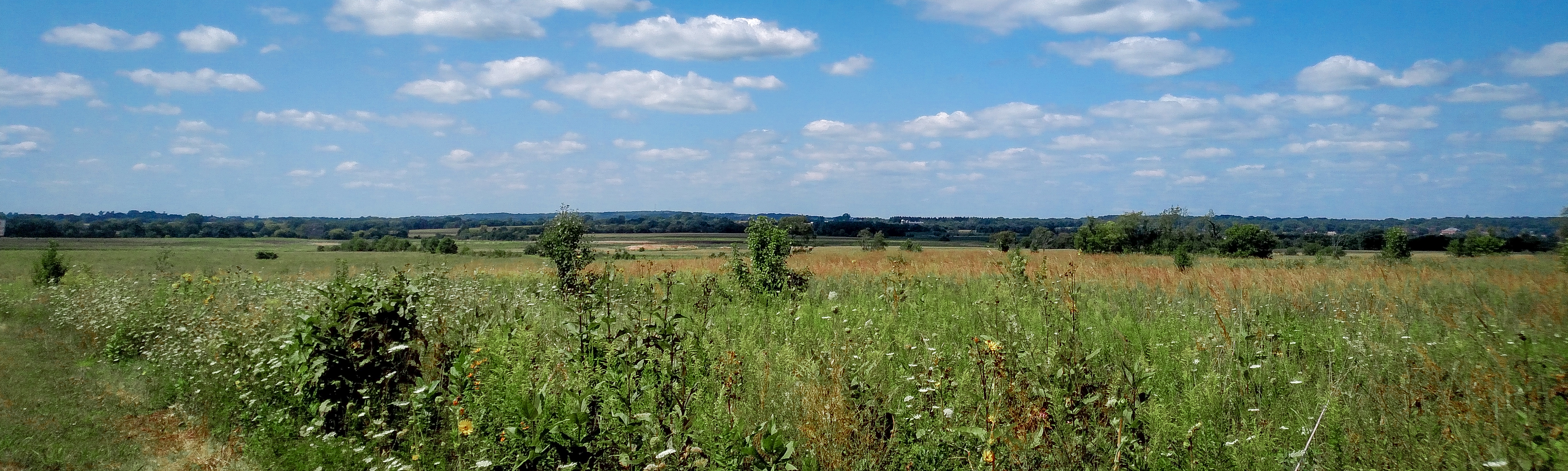 Campton_Twp_Landscape