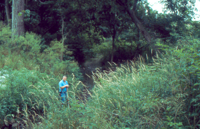 Blue Creek Number 8 Riffle 18 Months after 1998 Construction 008 riffle 18 months after construction