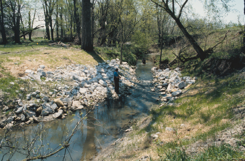 Blue Creek Number 8 Riffle One Month after 1998 Construction 008 riffle one month after construction in 1998