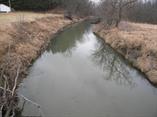 Court Creek (301)