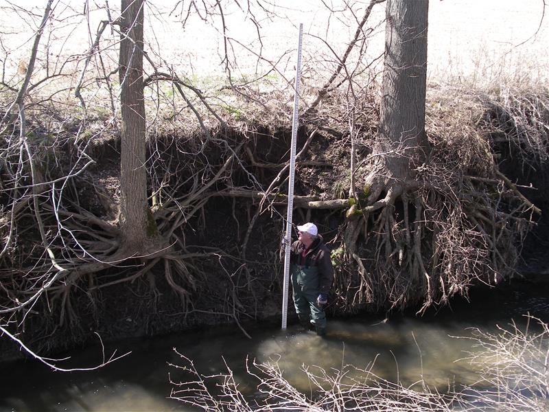 John Beardsley Inspects Streambank Erosion that has Undermined Root Systems of Trees Rap24 2752