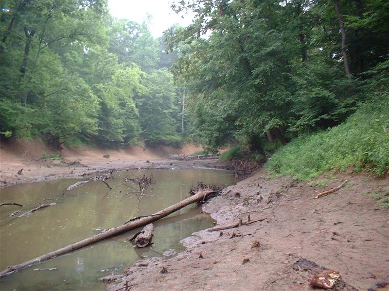 Looking Upstream at the Cache River Channel before Installing Number 11 Riffle Structure. weir11U