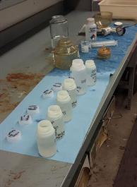 Nutrient Sample Preparation Nutrient Sample Preparation
