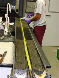 Core Splitting Tech with core split horizontally